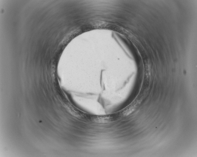 X0000070830664200607142342