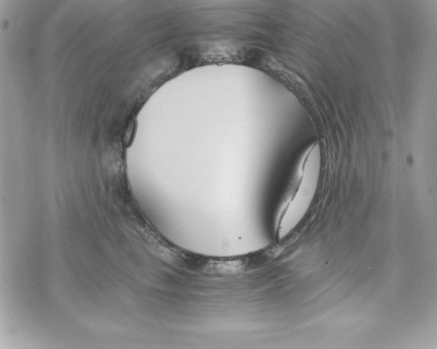 X0000070830665200607142342