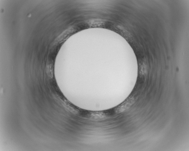 X0000070830666200607142342