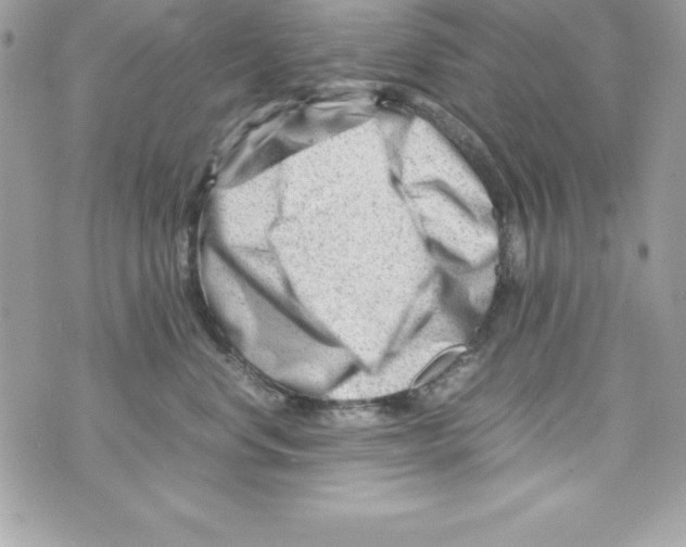 X0000070830668200607142342