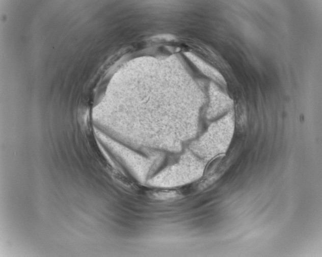 X0000070830669200607142342