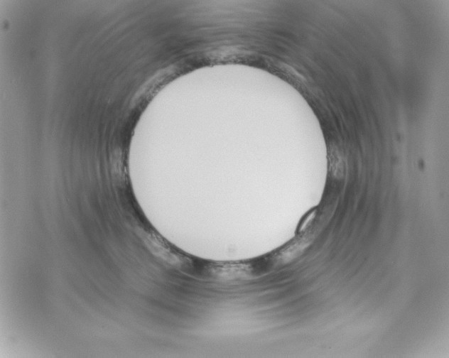 X0000070830670200607142342