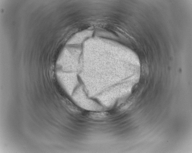 X0000070830671200607142342