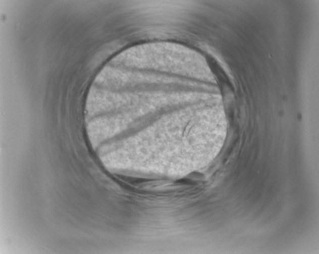 X0000070830673200607142341