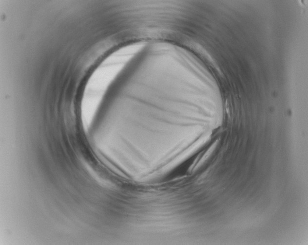 X0000070830674200607142341