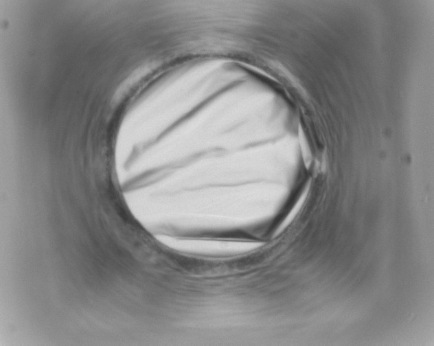 X0000070830675200607142341