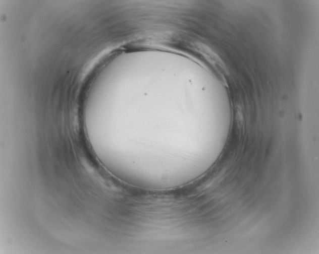 X0000070830676200607142341