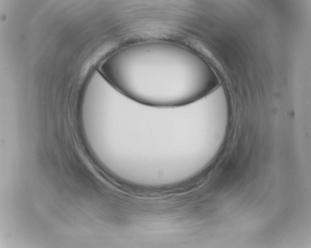 X0000070830677200607142341