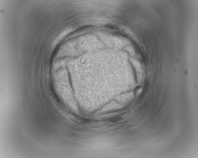 X0000070830679200607142341