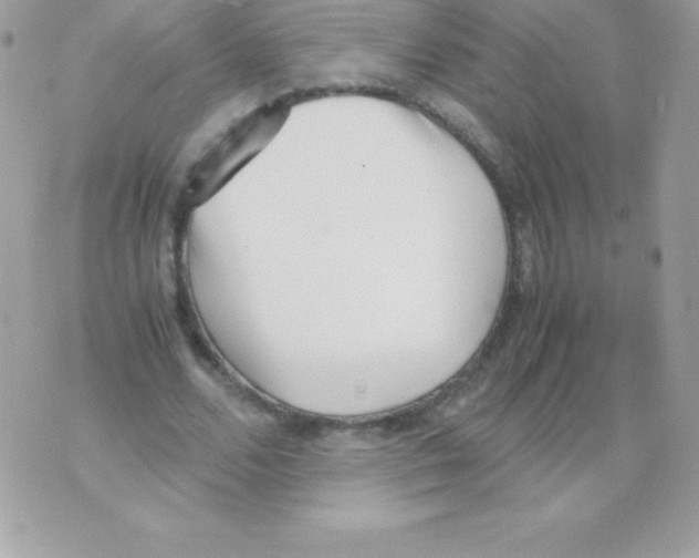 X0000070830680200607142341