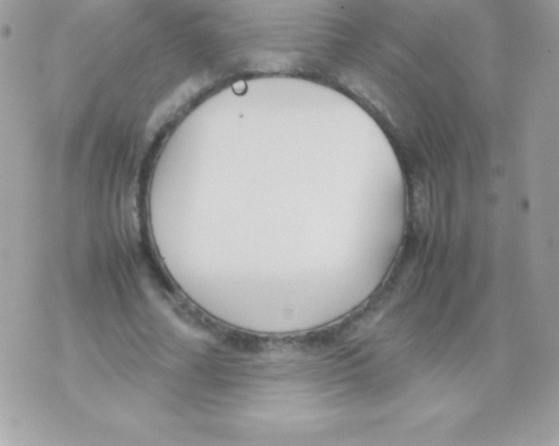 X0000070830682200607142341