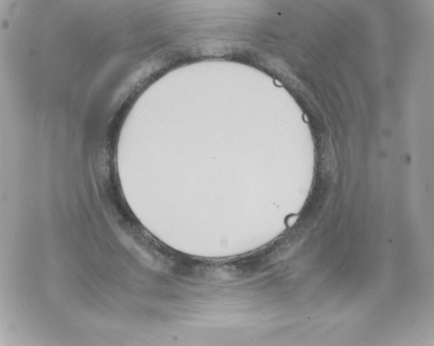 X0000070830683200607142341