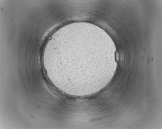 X0000070830684200607142341