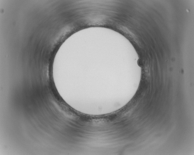 X0000070830686200607142341