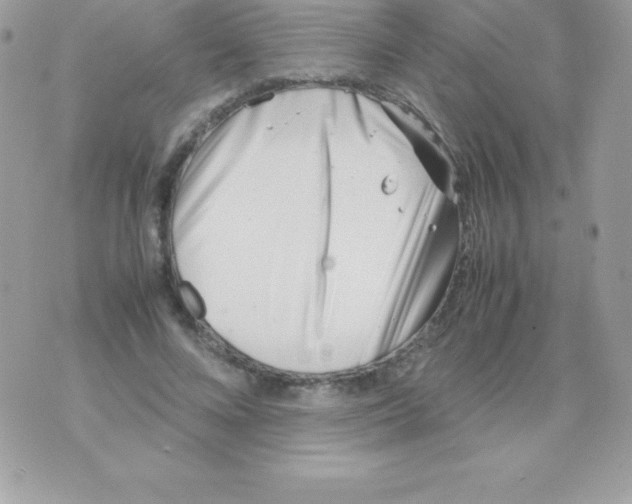 X0000070830688200607142341