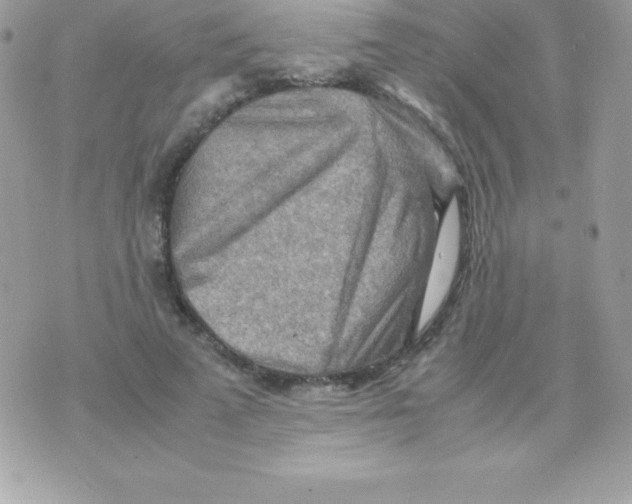 X0000070830689200607142341