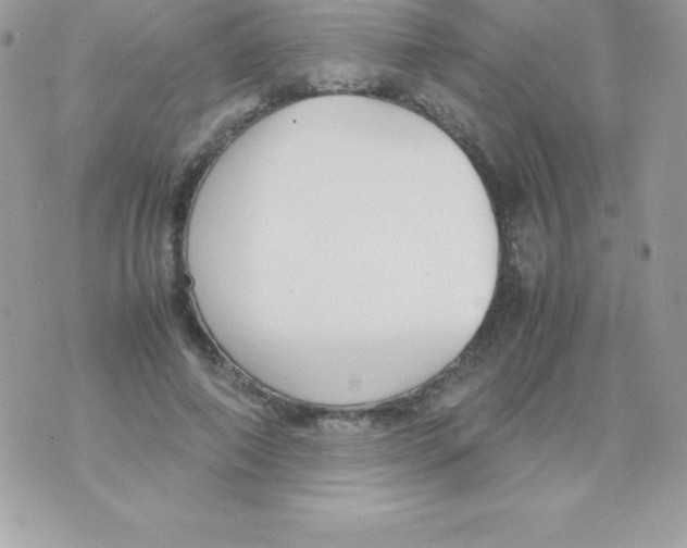 X0000070830690200607142341