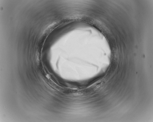 X0000070830692200607142341