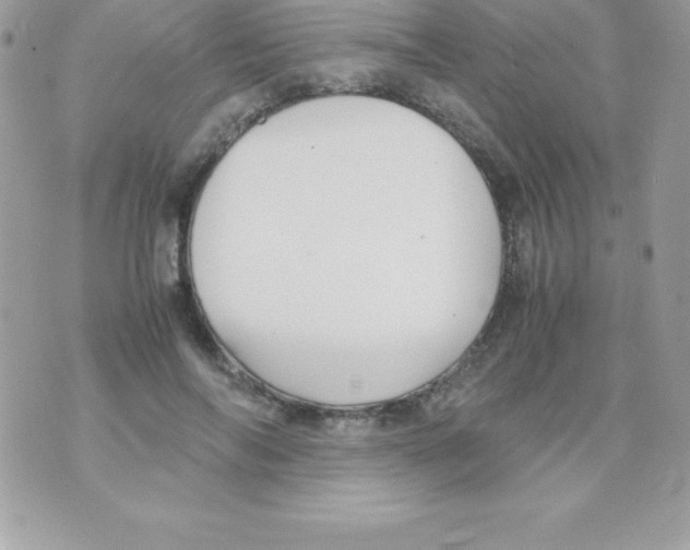 X0000070830694200607142341