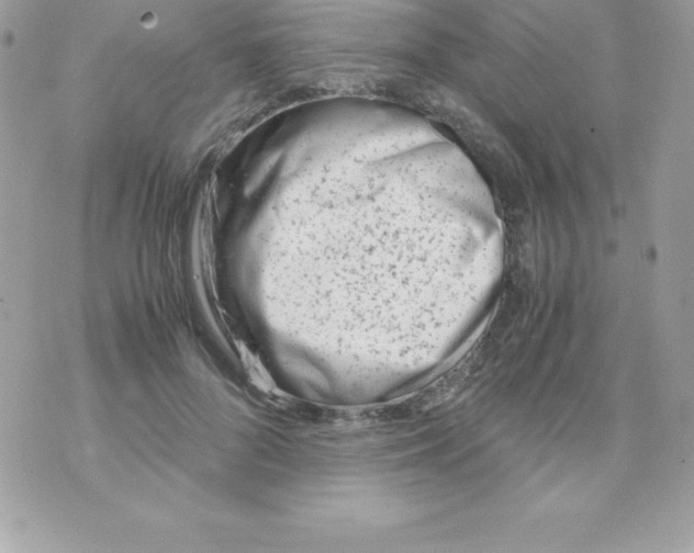 X0000070830696200607142341