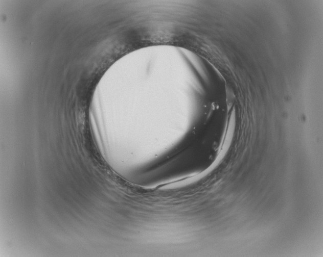 X0000070830697200607142341