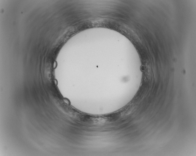 X0000070830698200607142341