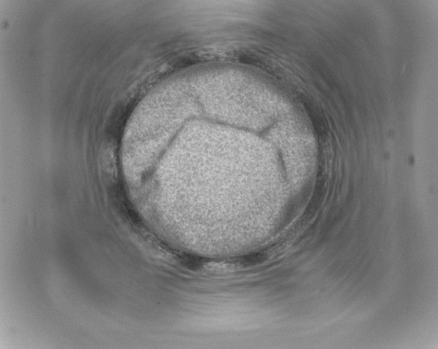 X0000070830699200607142341