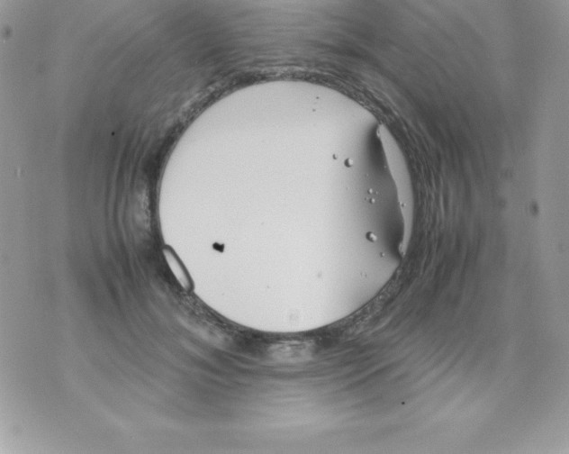 X0000070830700200607142341