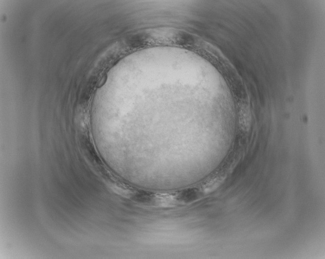 X0000070830701200607142341