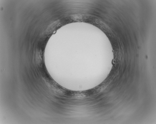 X0000070830702200607142341