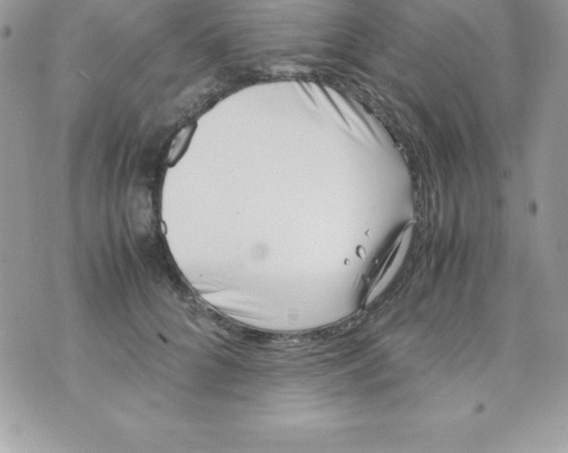 X0000070830704200607142341