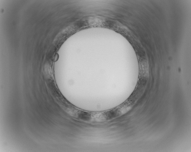 X0000070830705200607142341