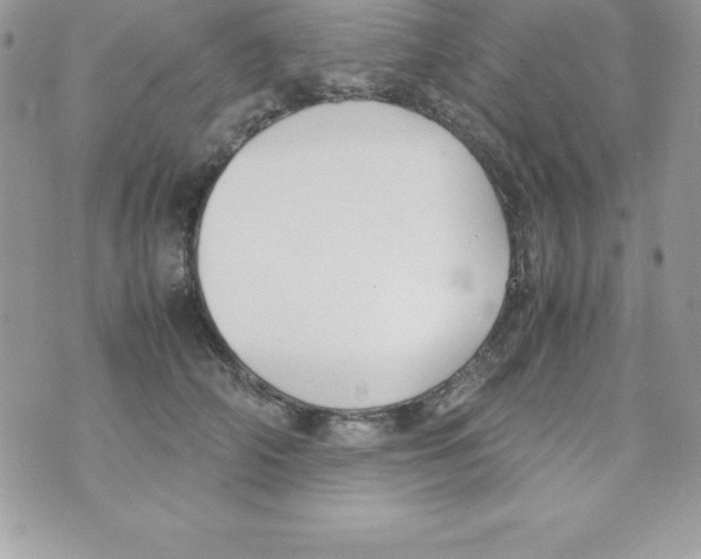 X0000070830706200607142341