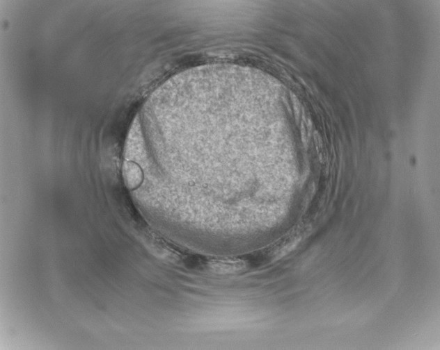 X0000070830707200607142341