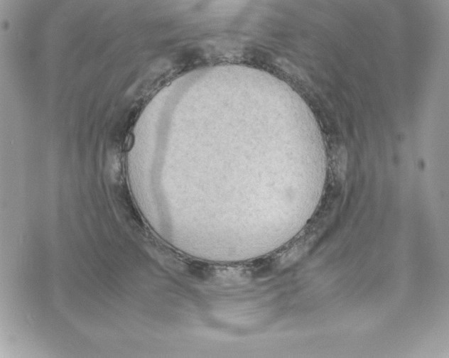 X0000070830709200607142341