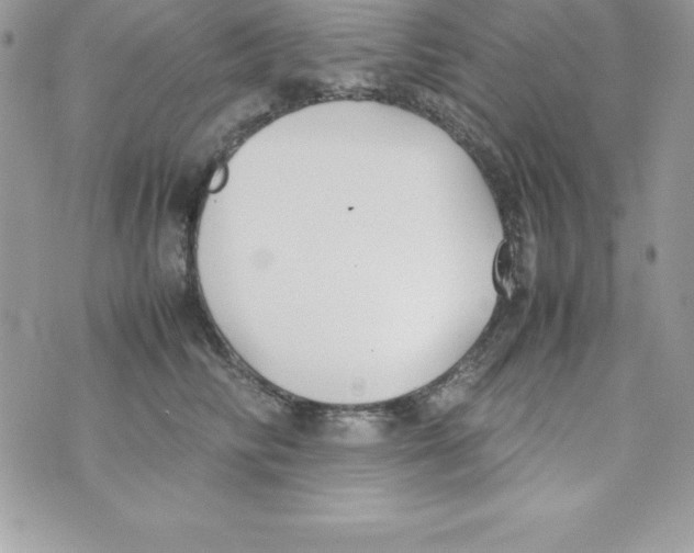 X0000070830710200607142341