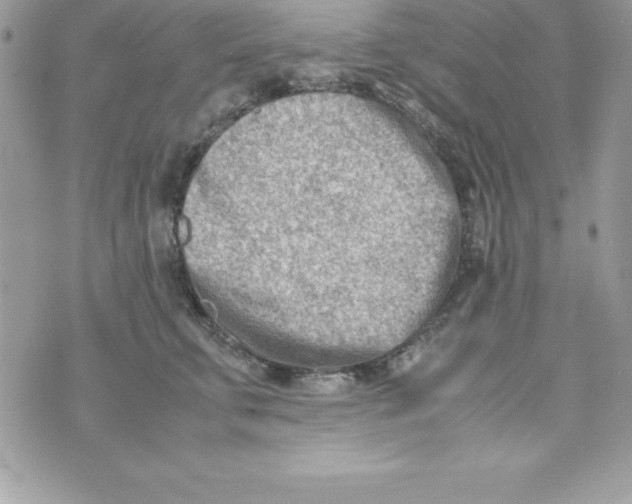 X0000070830711200607142341