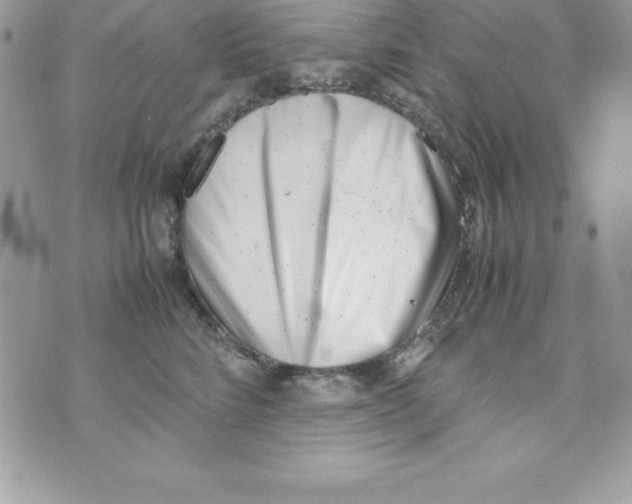 X0000070830712200607142341