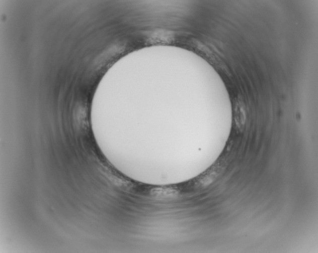 X0000070830714200607142341