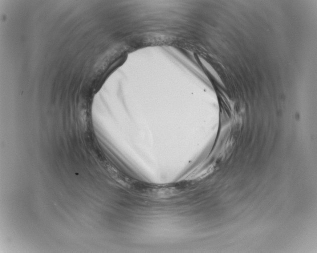 X0000070830716200607142341