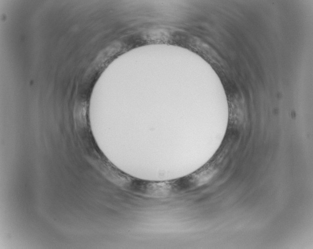 X0000070830717200607142341