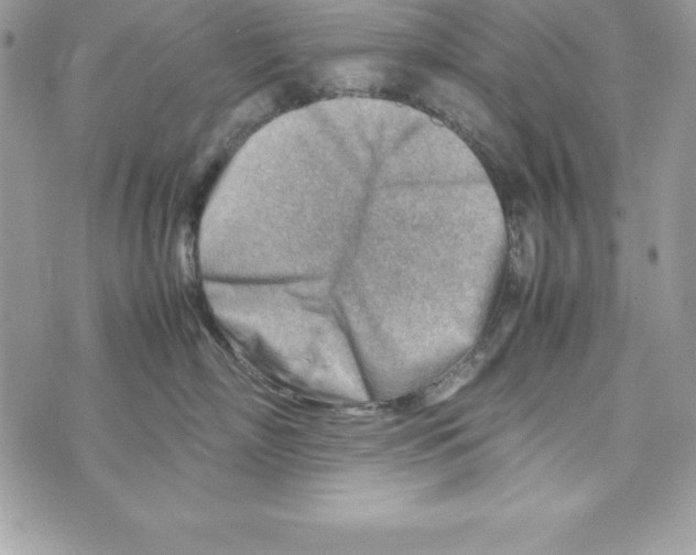 X0000070830718200607142341