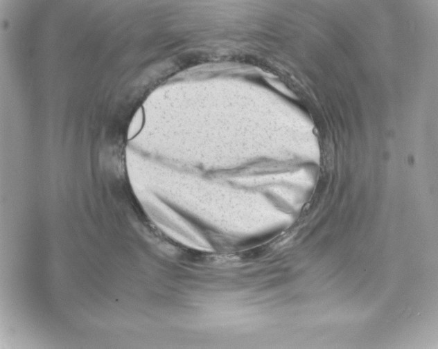 X0000070830719200607142341