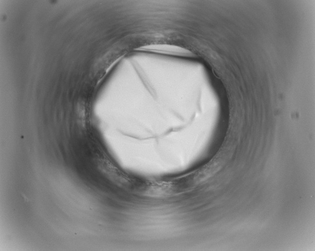 X0000070830720200607142341