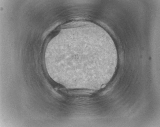 X0000070830721200607142340