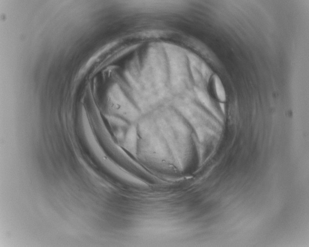 X0000070830722200607142340