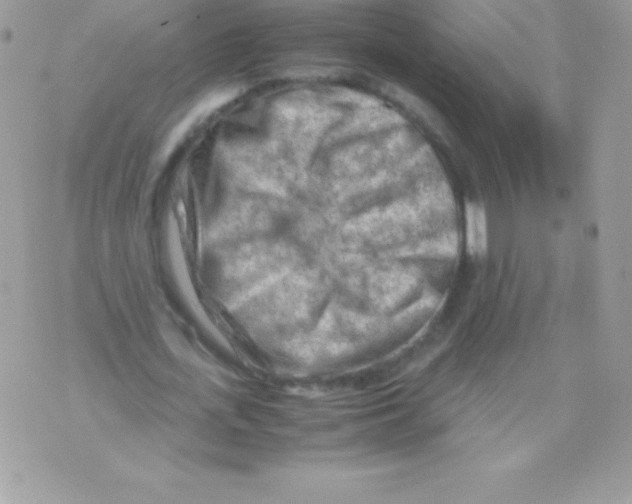 X0000070830723200607142340