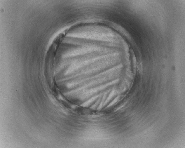 X0000070830724200607142340