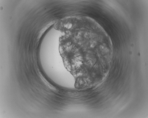 X0000070830725200607142340