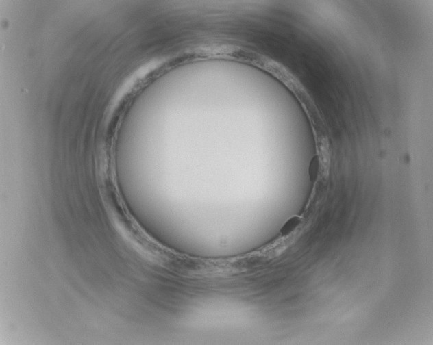 X0000070830726200607142340